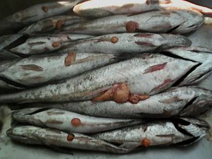 merluza-prenada-2