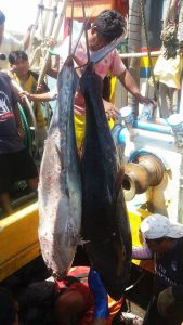 atun-mancora-3