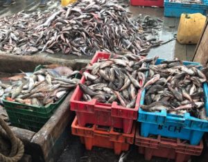 pesca de Bap Azaña