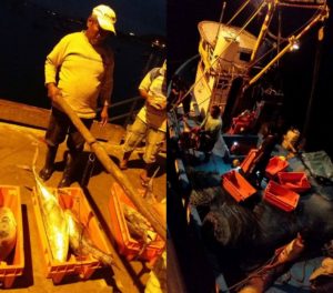 atun en mancora 2