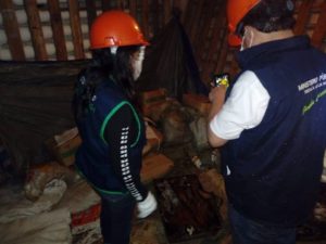 chinos con pota 608